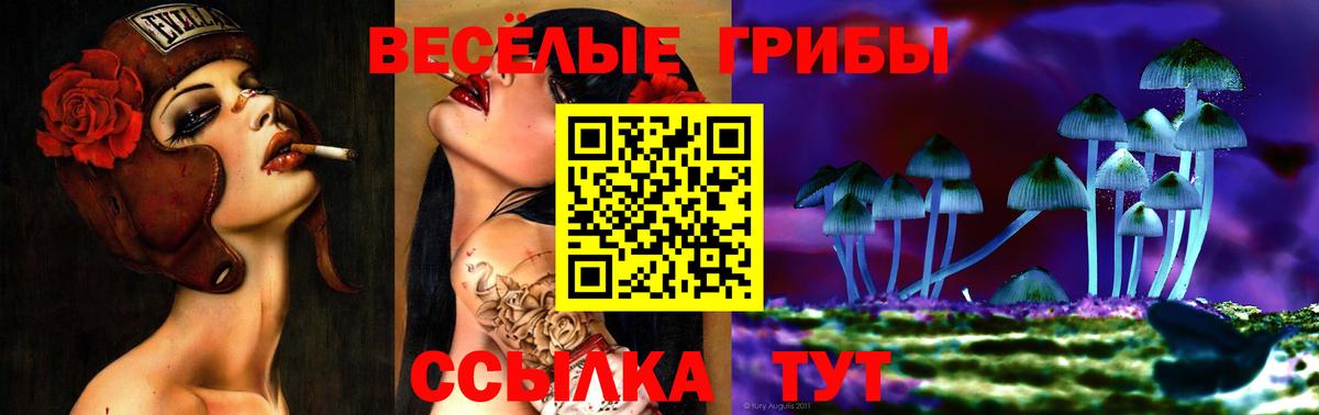 Энгельс  купить   Вход с VPN  Псилоцибиновые грибы ЛСД 